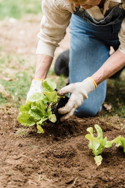 10. Build Healthy Soil to Grow Stronger Plants (Image Credits: Pexels)