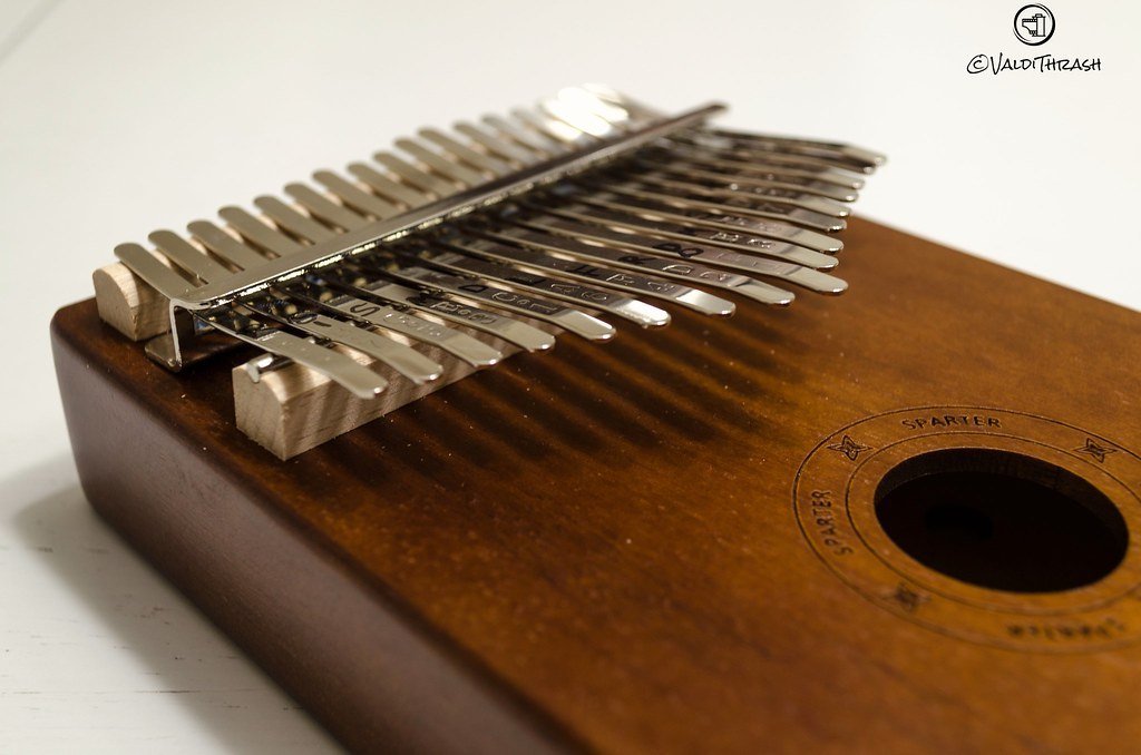 4. The Mbira: Africa's Thumb Piano and Its Buzzing Soul (@valdithrash_77, Flickr, CC BY 2.0)