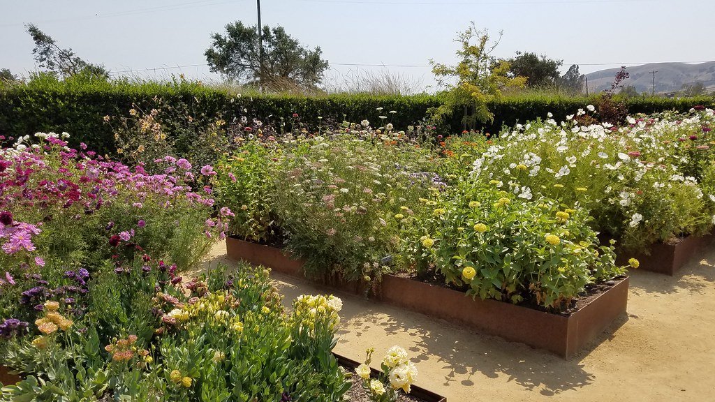 Secret #2: Always Conduct a Soil Test Before Planting Anything (PlantRight1, Flickr, CC BY 2.0)