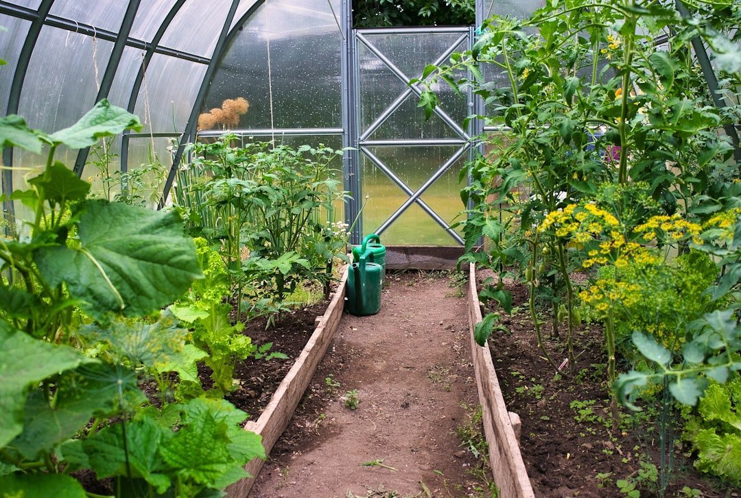 Secret #7: Practice Succession Planting to Extend Your Harvest All Season (Image Credits: Unsplash)