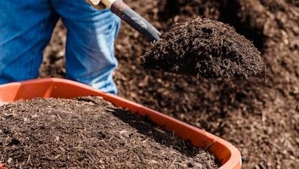 10 Little-Known Gardening Secrets That Professional Growers Swear By