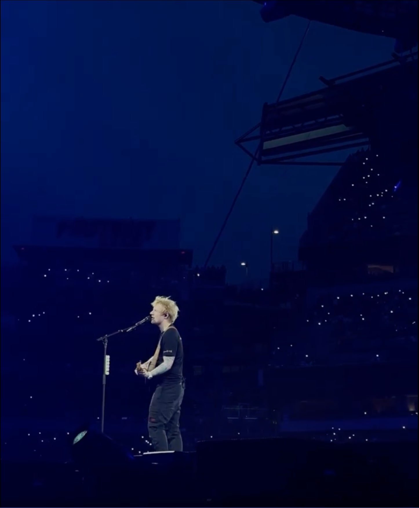 Supermarket Flowers by Ed Sheeran (By Patrick Cristiano, CC BY-SA 4.0)