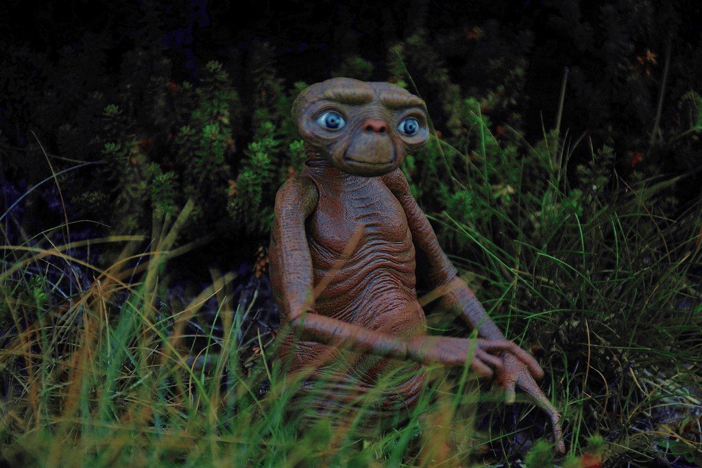 6. E.T. the Extra-Terrestrial: John Williams' Tender Flight (1982) (Image Credits: Flickr)