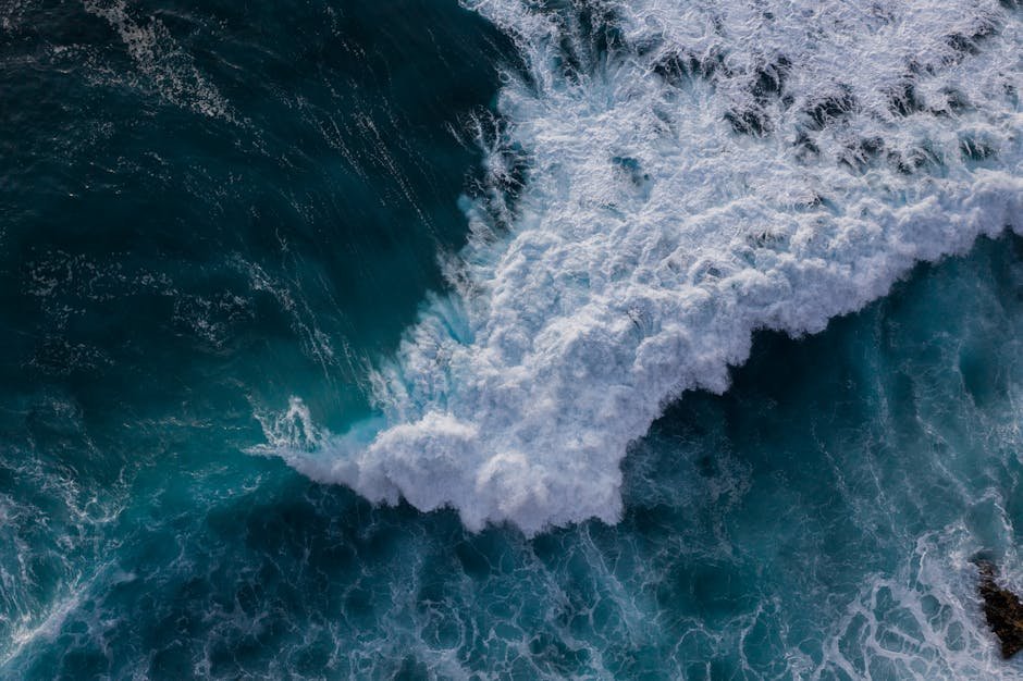Manabu Ikeda's Tsunami Wave (Image Credits: Pexels)
