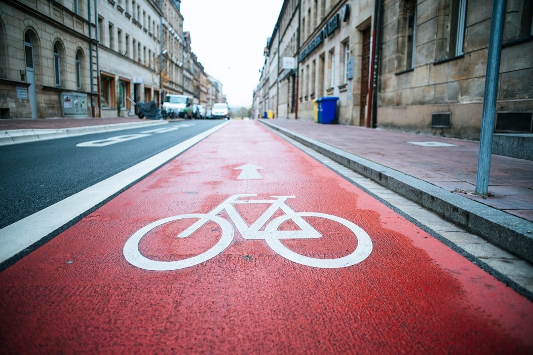6. Wander Into Bike Lanes (Image Credits: Unsplash)