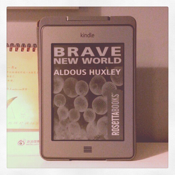 Brave New World by Aldous Huxley (bfishadow, Flickr, CC BY 2.0)