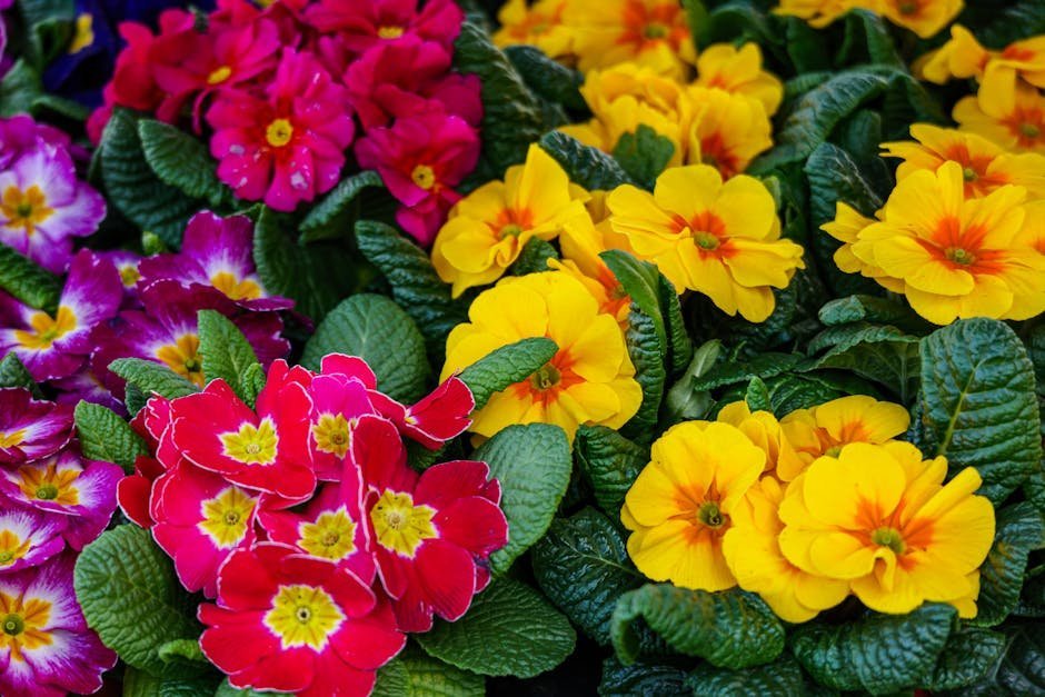 4. Pick Plants Matched to Your Climate Zone (Image Credits: Pexels)