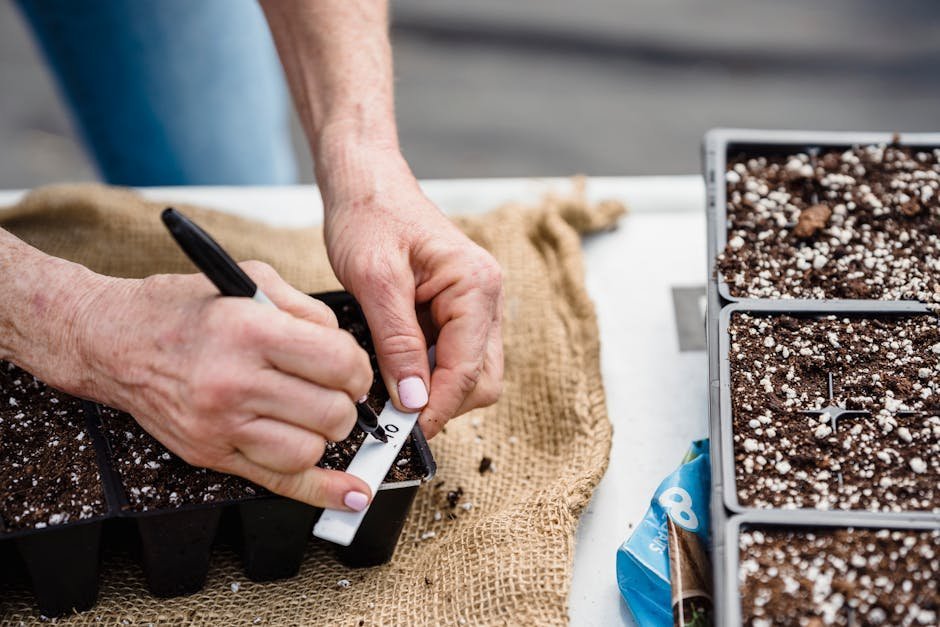 5. Map Out a Simple Garden Layout (Image Credits: Pexels)