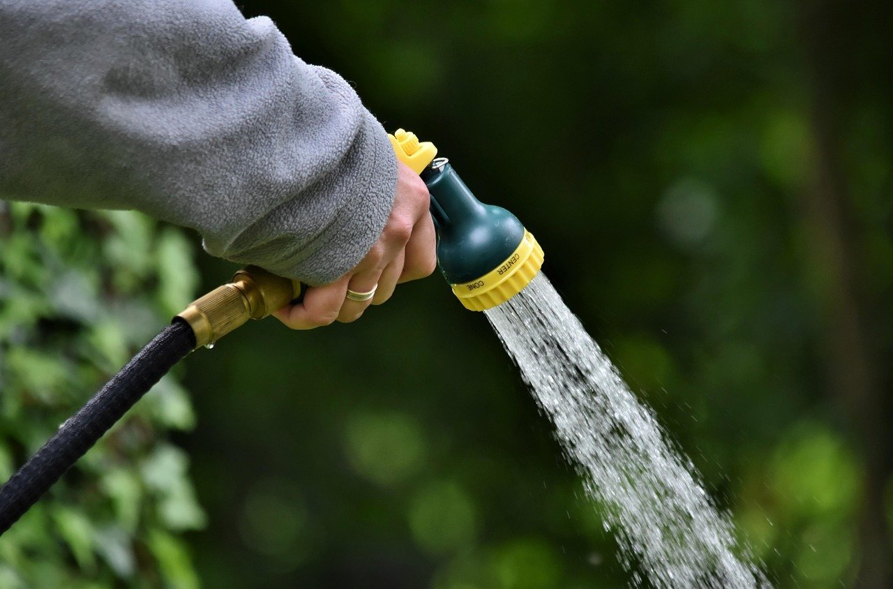 7. Learn Proper Watering from the Start (Image Credits: Pixabay)