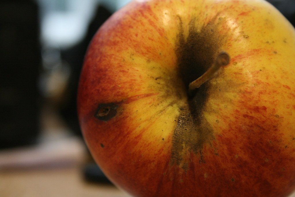 3. Friedrich Schiller Kept Rotting Apples in His Desk to Write (Image Credits: Flickr)