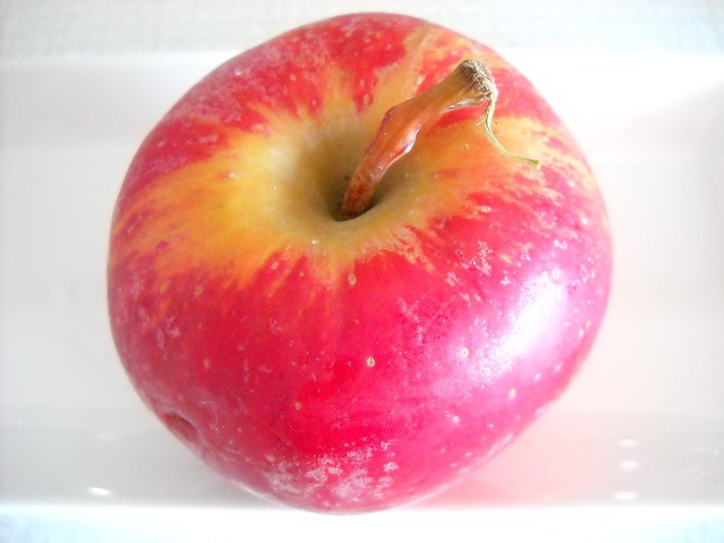 8. Agatha Christie Plotted Murders While Eating Apples in the Bathtub (www.metaphoricalplatypus.com, Flickr, CC BY 2.0)