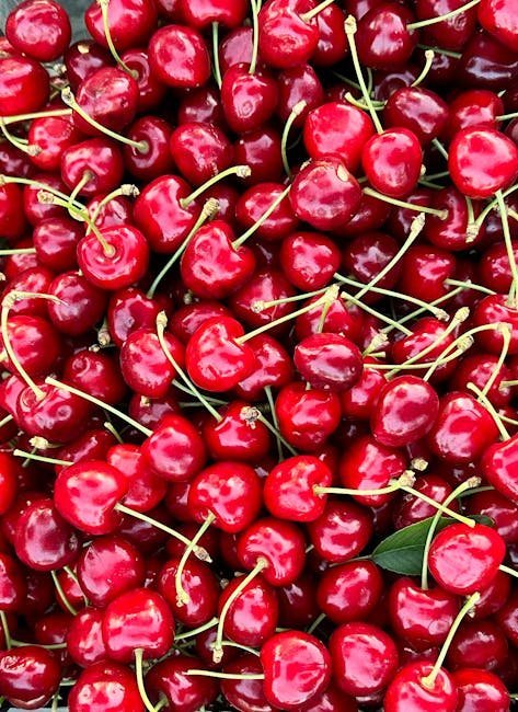 3. National Cherry Festival – Traverse City, Michigan (Image Credits: Pexels)