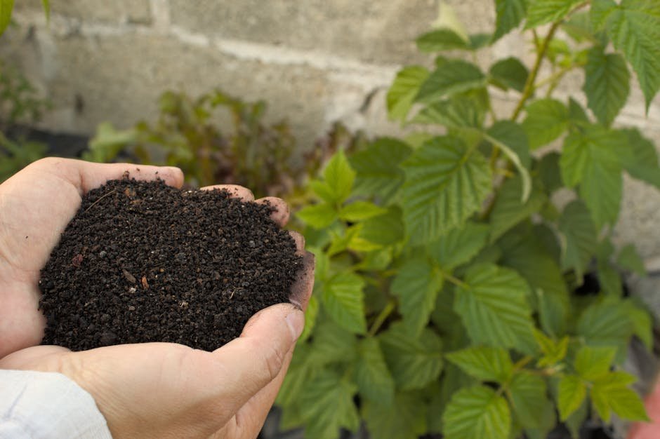 3. Fertilize Strategically, Not Just Generously (Image Credits: Pexels)