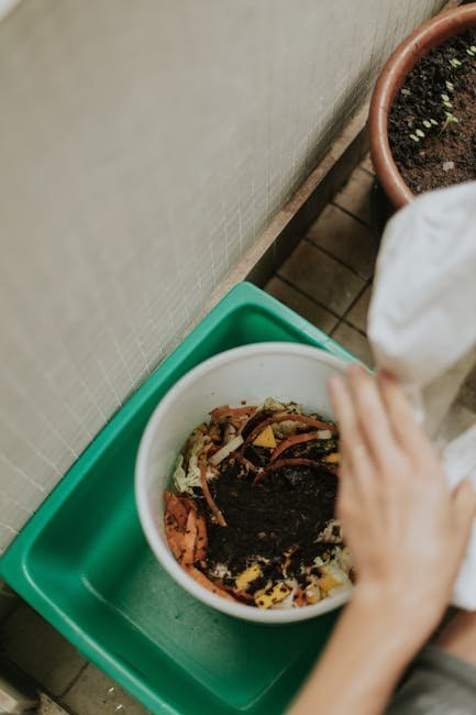 9. Feed Plants With Kitchen Scraps and Natural Boosters (Image Credits: Pexels)