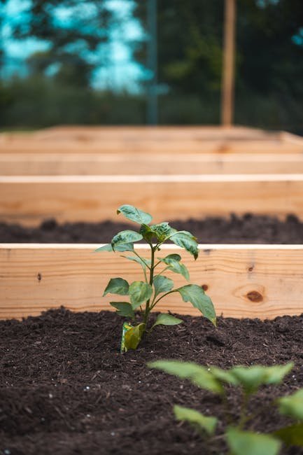 Conclusion: Small Changes, Big Results (Image Credits: Pexels)