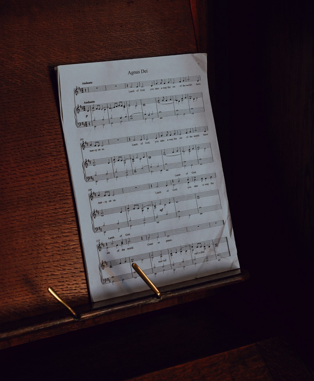 Lyrical Interpretation (Image Credits: Unsplash)