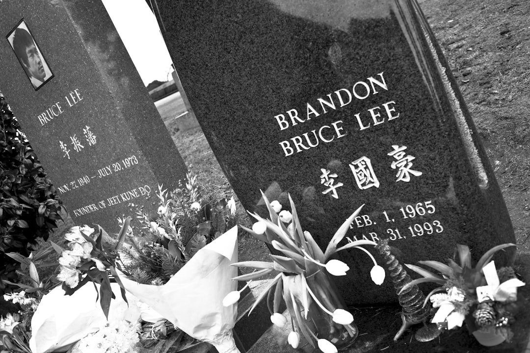 Lasting Echoes (Image Credits: Unsplash)