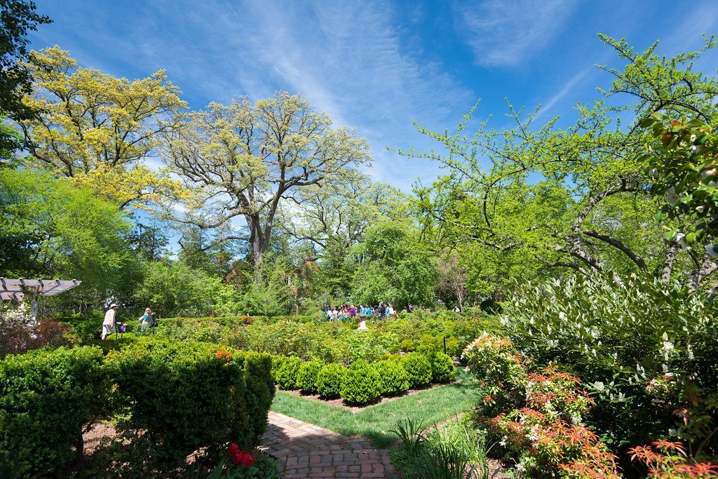 Mary, Mary Quite Contrary (RLBolton, Flickr, CC BY 2.0)