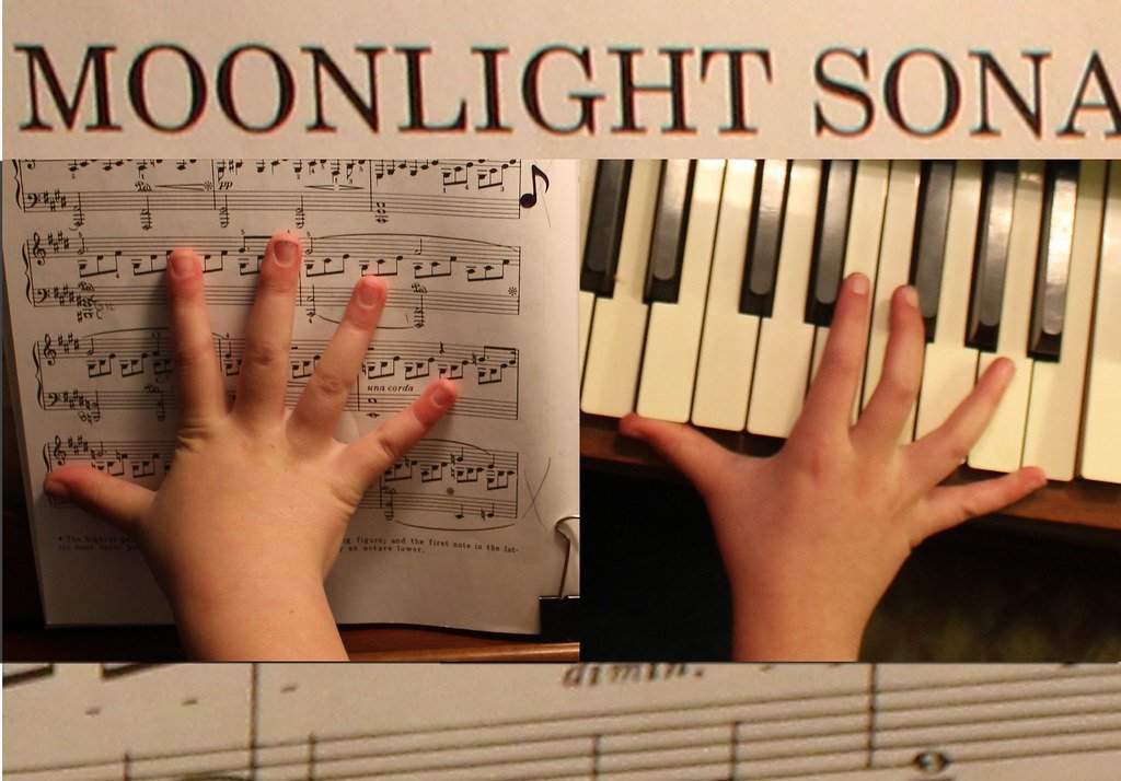 Beethoven's Moonlight Sonata: Romantic Shadows (woodleywonderworks, Flickr, CC BY 2.0)