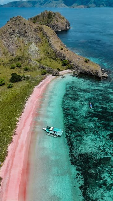 Pink Beach, Komodo National Park, Indonesia (Image Credits: Pexels)