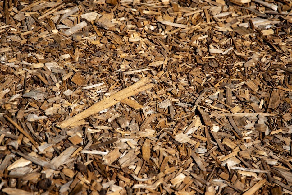 Hack 6: Mulch Generously Around the Base (Image Credits: Pexels)