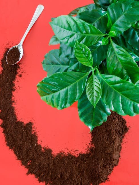 Hack 8: Coffee Grounds for Nitrogen Kick (Image Credits: Pexels)