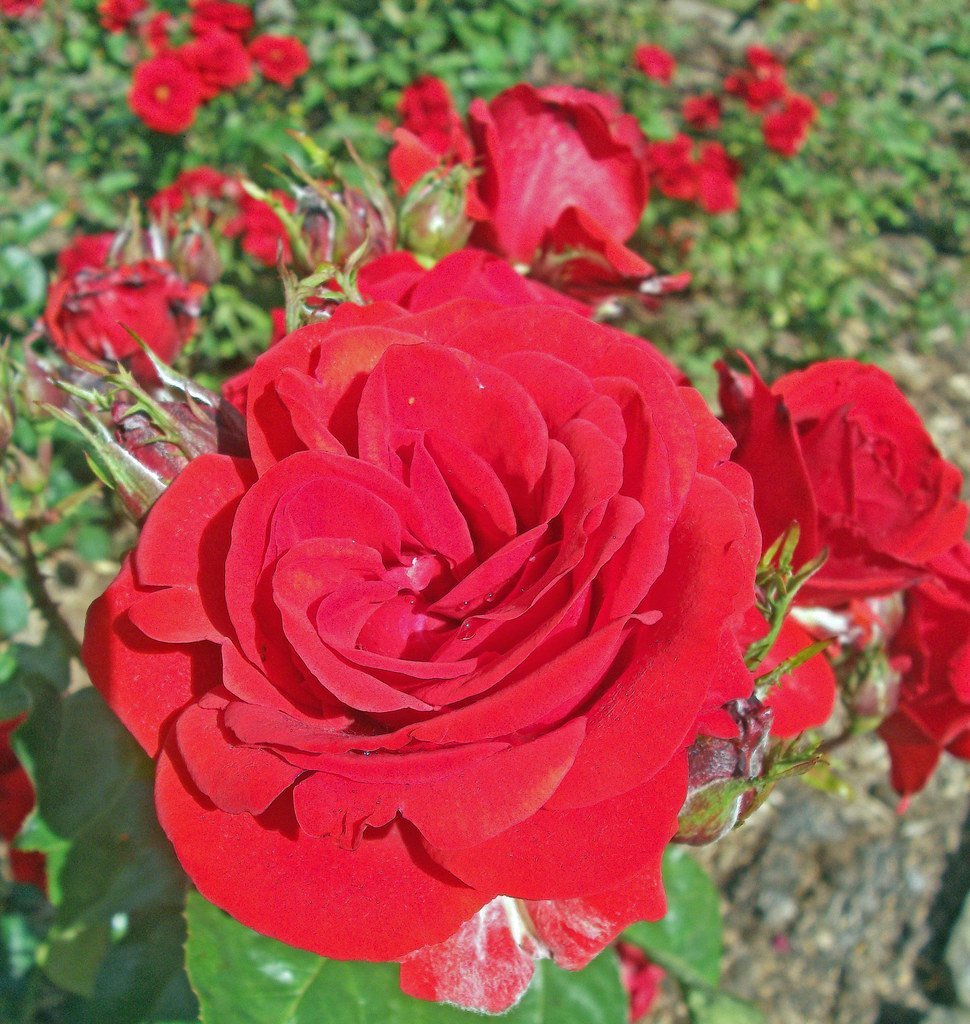 Keep the Momentum Going (Donnchadh H, Flickr, CC BY 2.0)