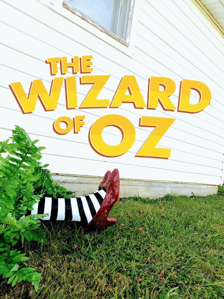 Ruby Slippers from The Wizard of Oz (1939) (Image Credits: Flickr)