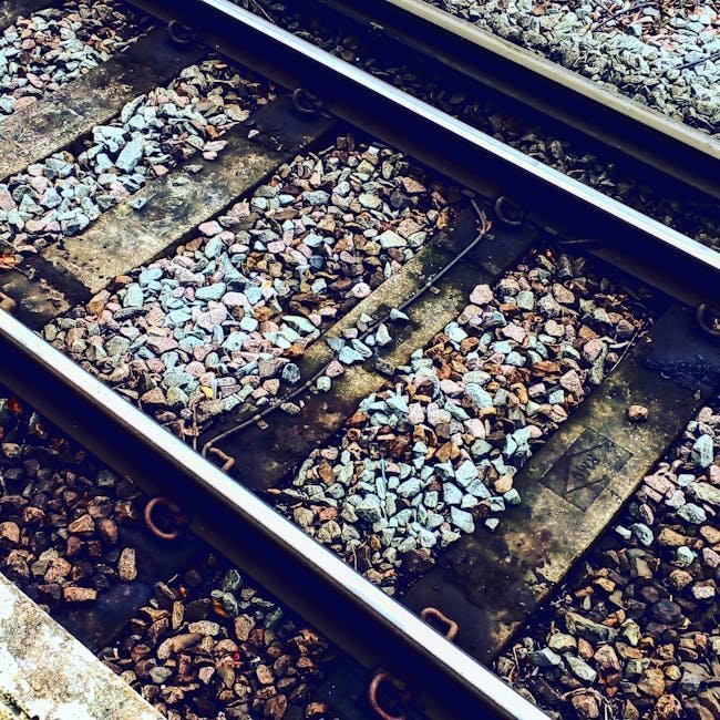 9. Stand By Me (1986) - Rob Reiner (Image Credits: Pexels)