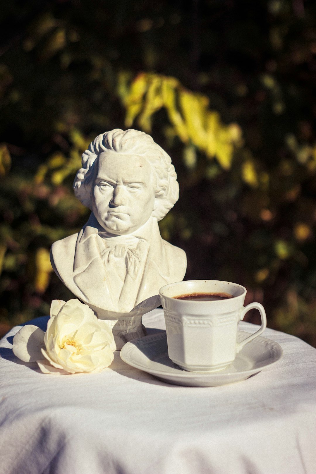 Ludwig van Beethoven: The Angry Idealist Who Exploded the Symphony (Image Credits: Unsplash)