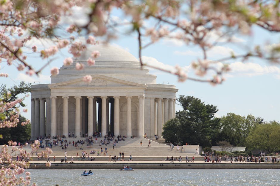 1. National Cherry Blossom Festival, Washington D.C. (Image Credits: Pexels)