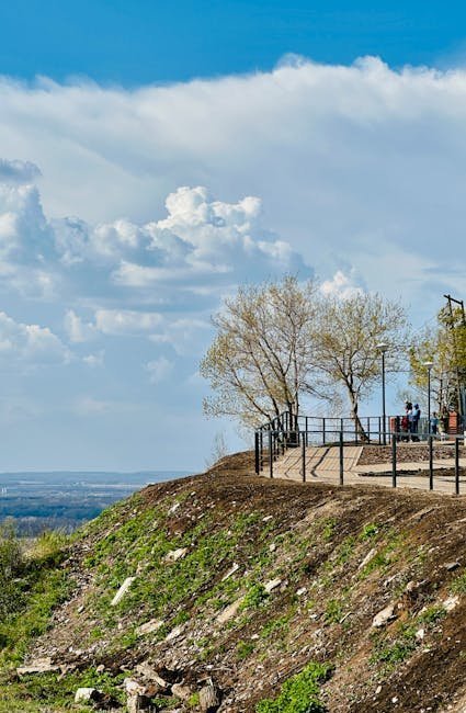 Skyline Drive (Image Credits: Pexels)