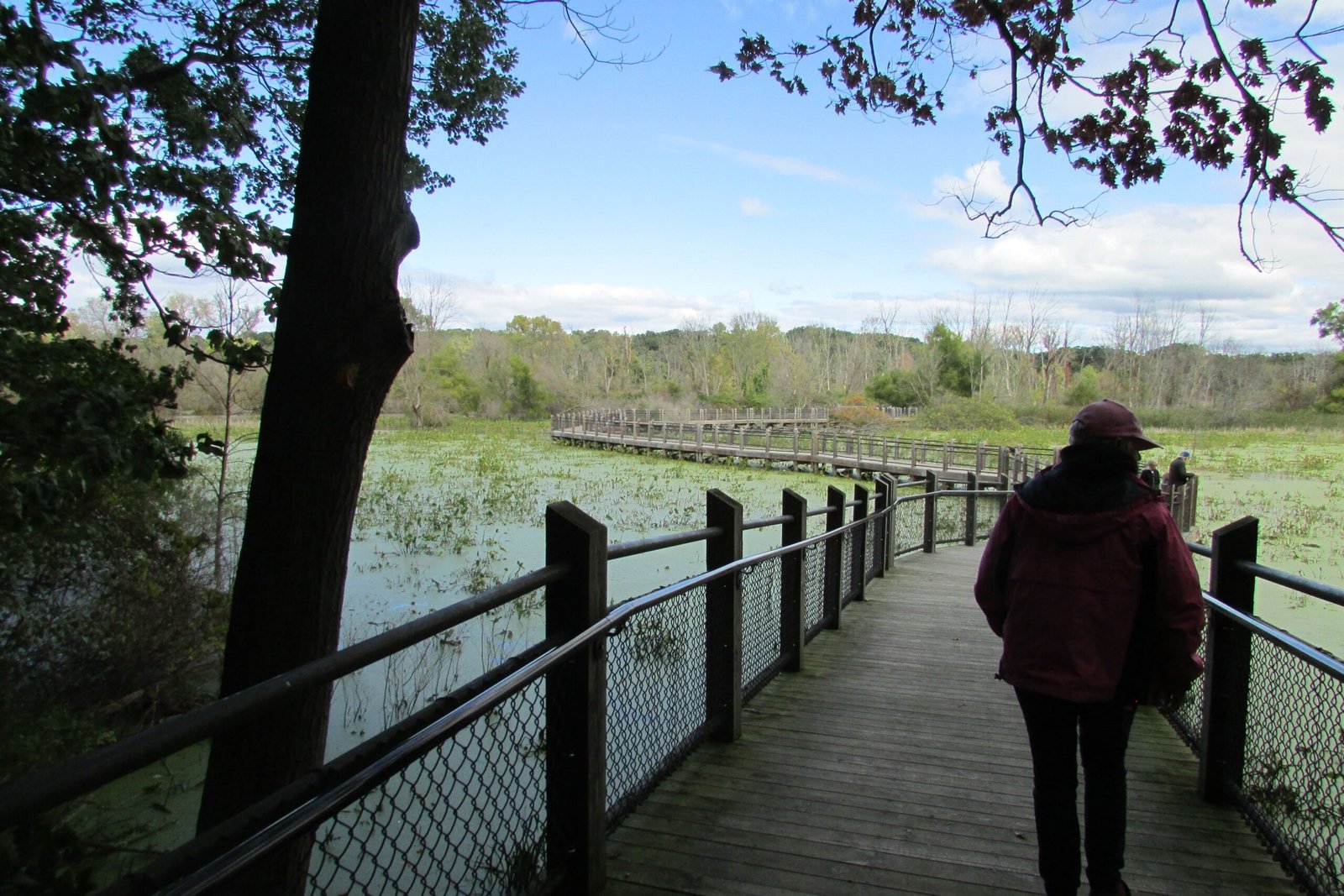 Huntley Meadows Park (By Chris Light, CC BY-SA 4.0)