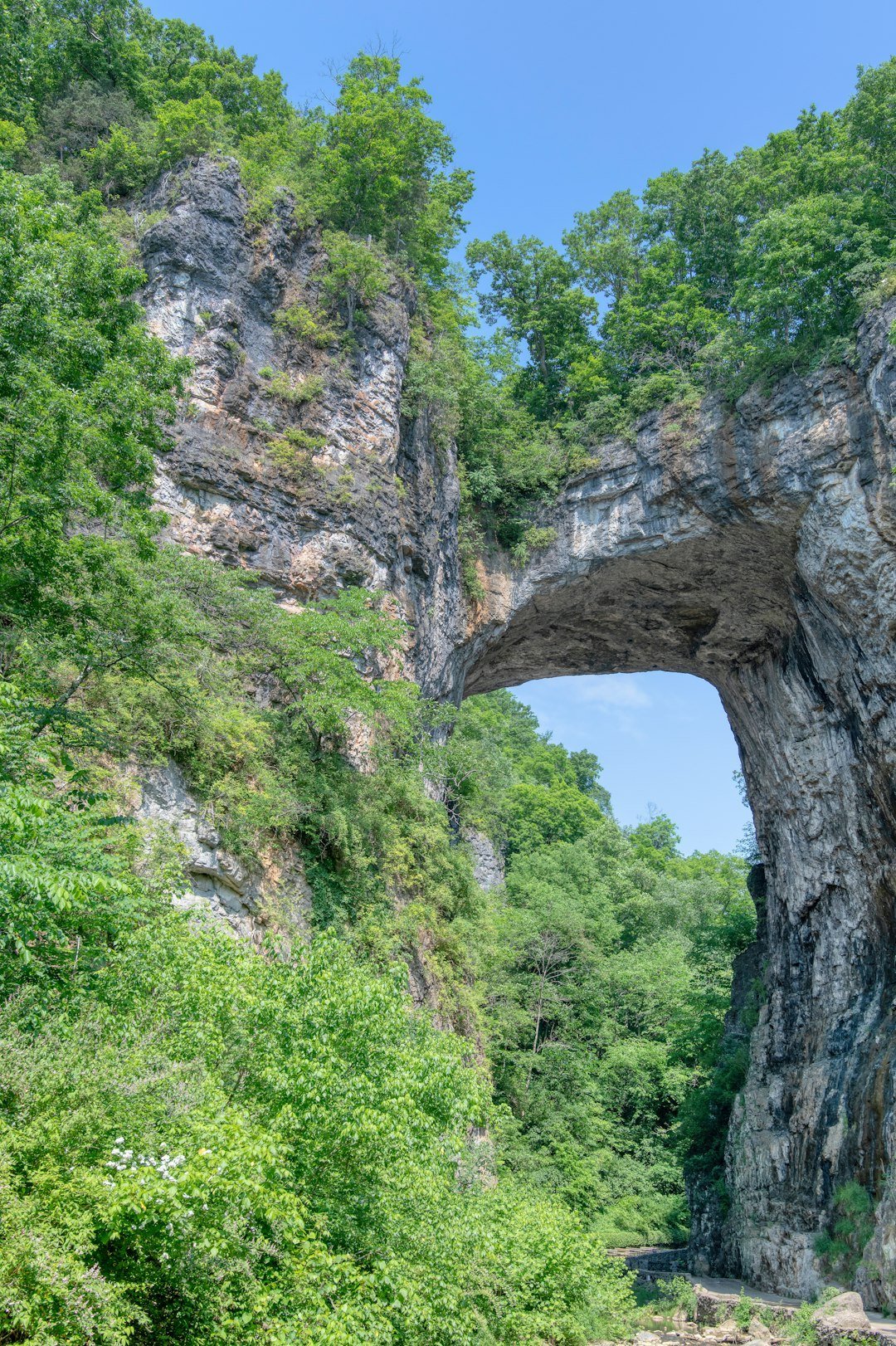 Natural Bridge State Park (Image Credits: Unsplash)
