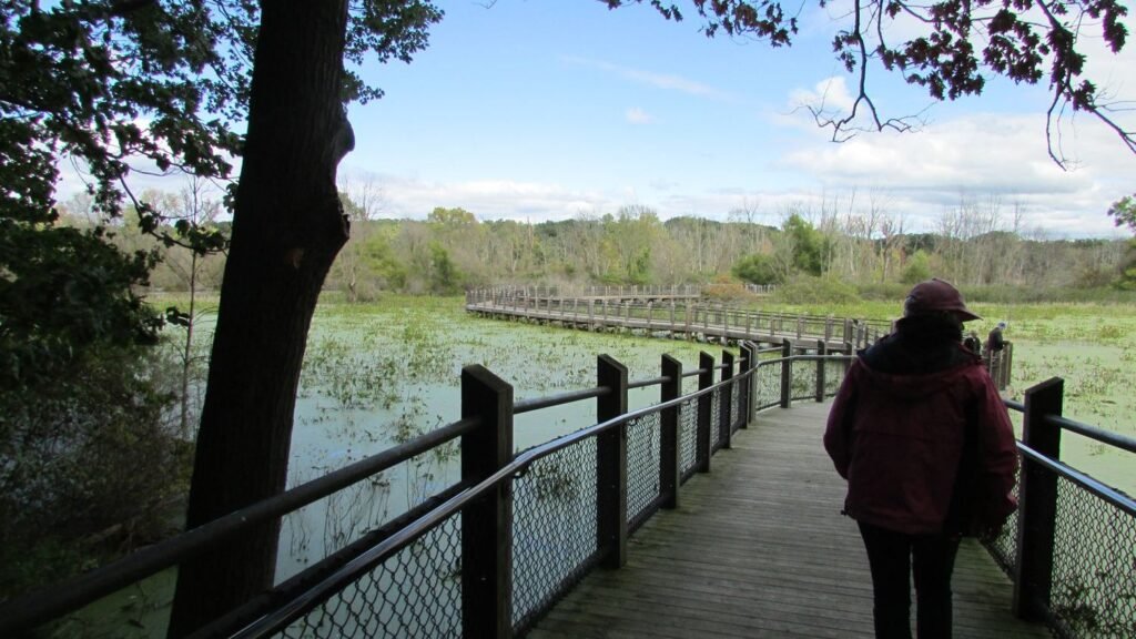 15 Scenic Spring Destinations in Virginia