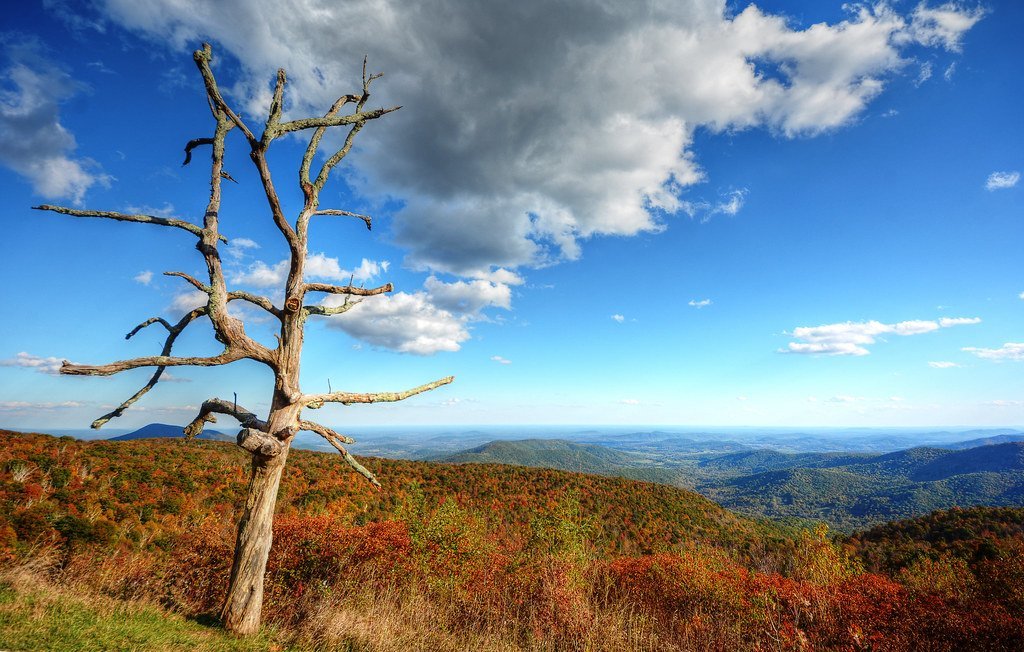10. Hike the Shenandoah National Park - Where Nature and History Merge (Jeff Reardon, Flickr, CC BY 2.0)