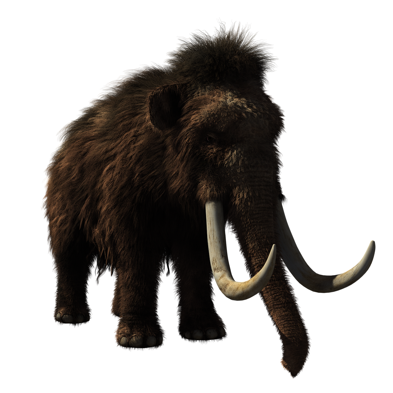 1. Woolly Mammoths Were Still Alive When the Egyptian Pyramids Were Built (Image Credits: Pixabay)
