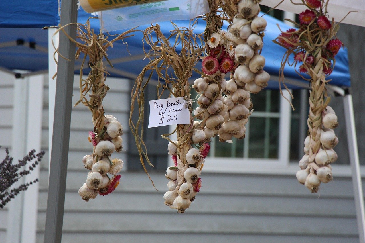 4. Gilroy Garlic Festival, Gilroy, California (Image Credits: Pixabay)