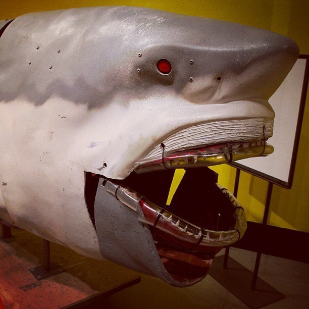 Bruce the Jaws Shark: From Hollywood Icon to Junkyard Dog (john_voorhees, Flickr, CC BY 2.0)