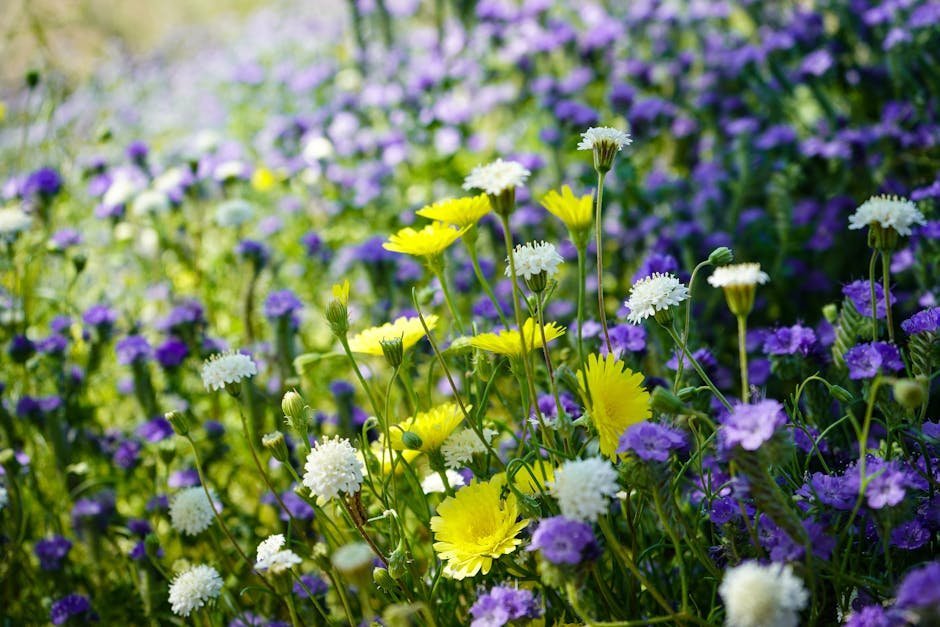 Photography Tips for Capturing the Bloom (Image Credits: Pexels)