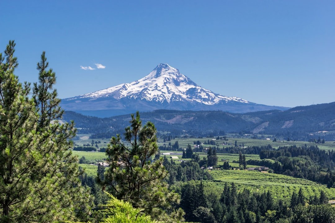 8. Hood River, Oregon: Wind, Water, and Wild Mountain Views (Image Credits: Unsplash)