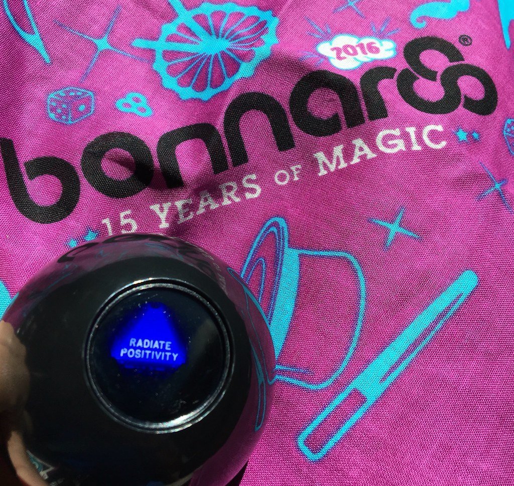 Bonnaroo Music and Arts Festival (ShanMcG213, Flickr, CC BY-SA 2.0)