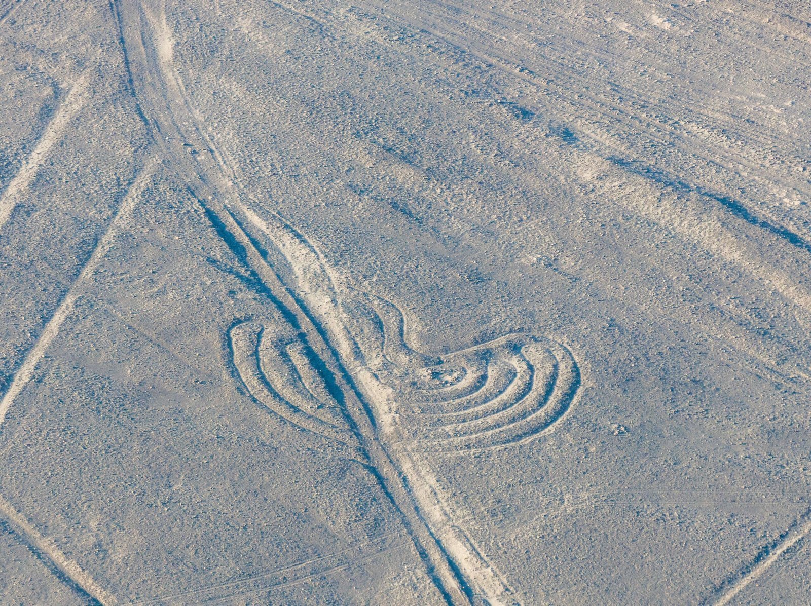 4. The Nazca Lines: Giant Art With No Obvious Audience (By Diego Delso, CC BY-SA 4.0)