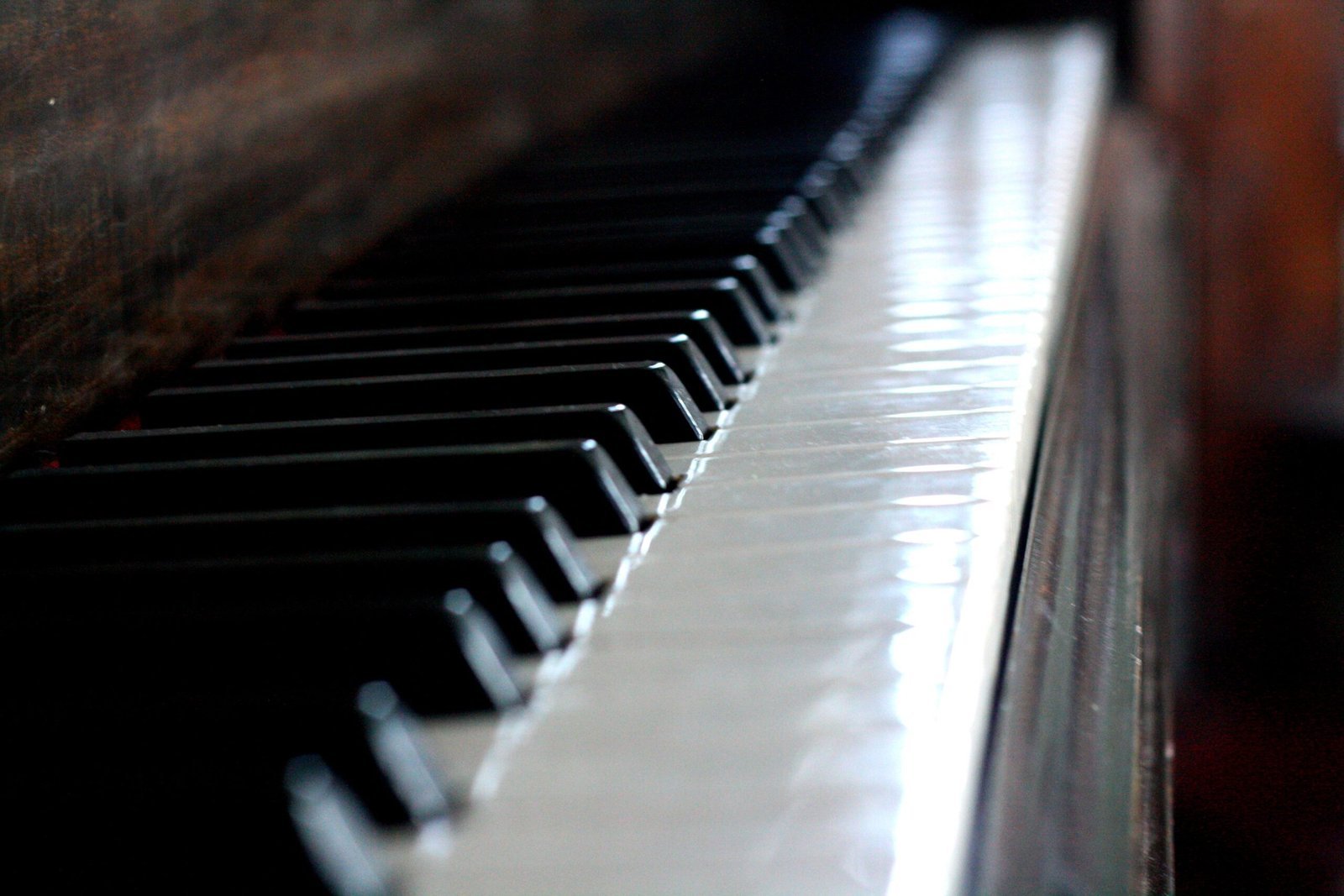 Paul McCartney & Stevie Wonder – Ebony and Ivory (By Jared, CC BY-SA 3.0)