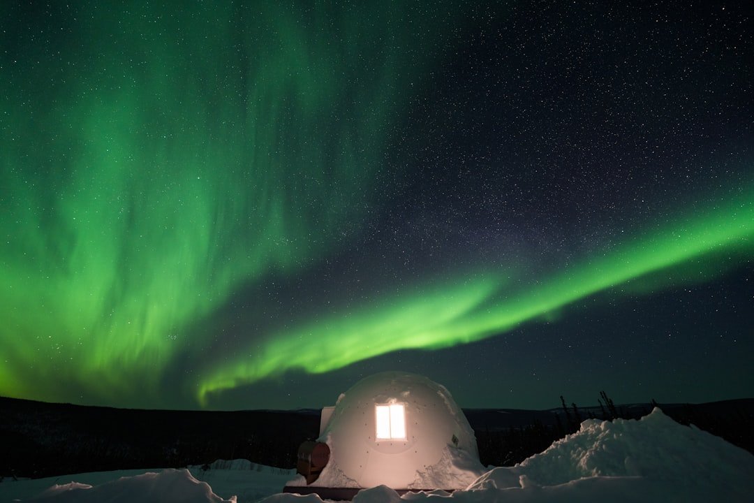 Borealis Basecamp in Fairbanks, Alaska (Image Credits: Unsplash)