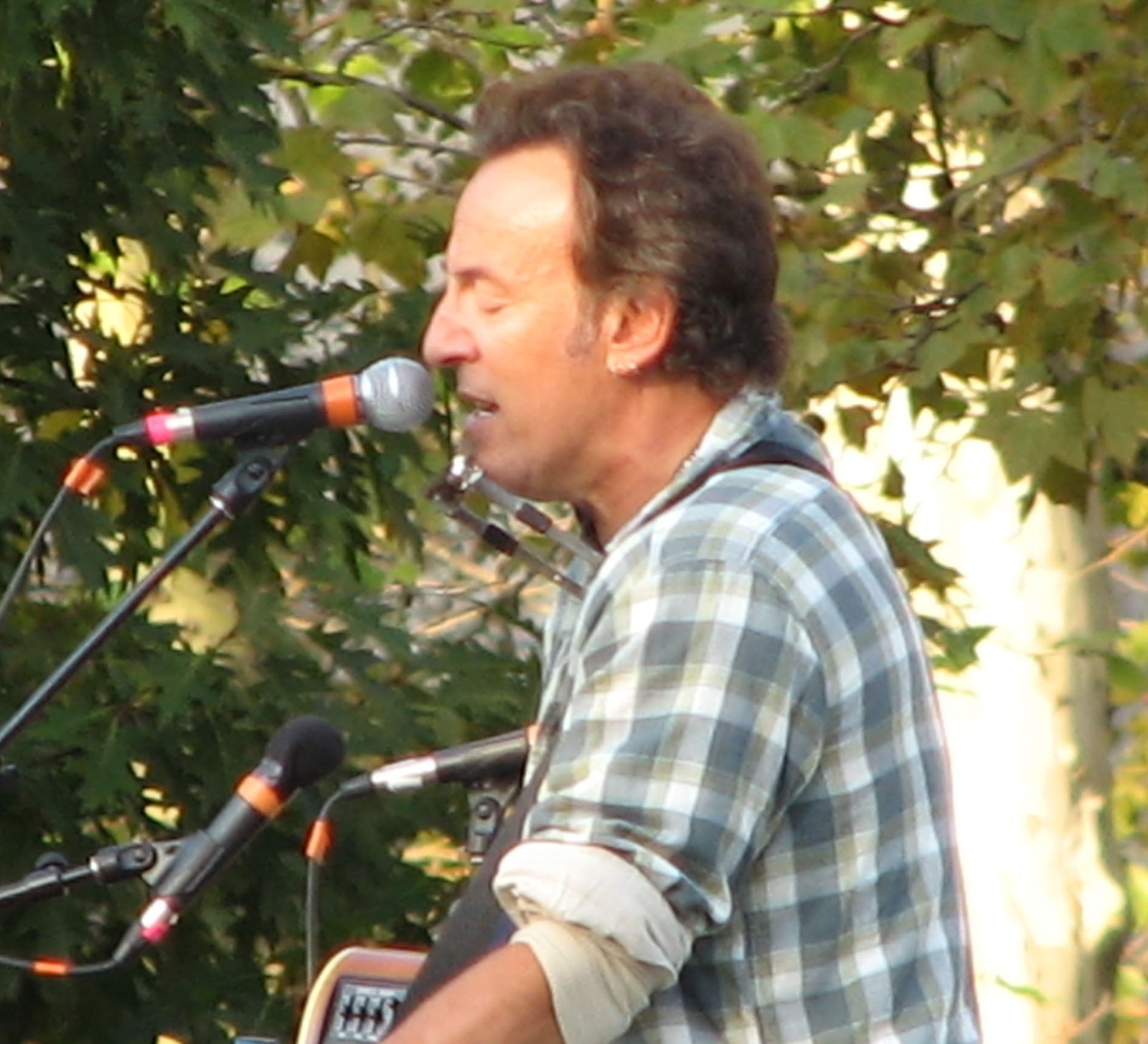 Born to Run by Bruce Springsteen (Bruce Springsteen for Obama on the Parkway, CC BY-SA 2.0)