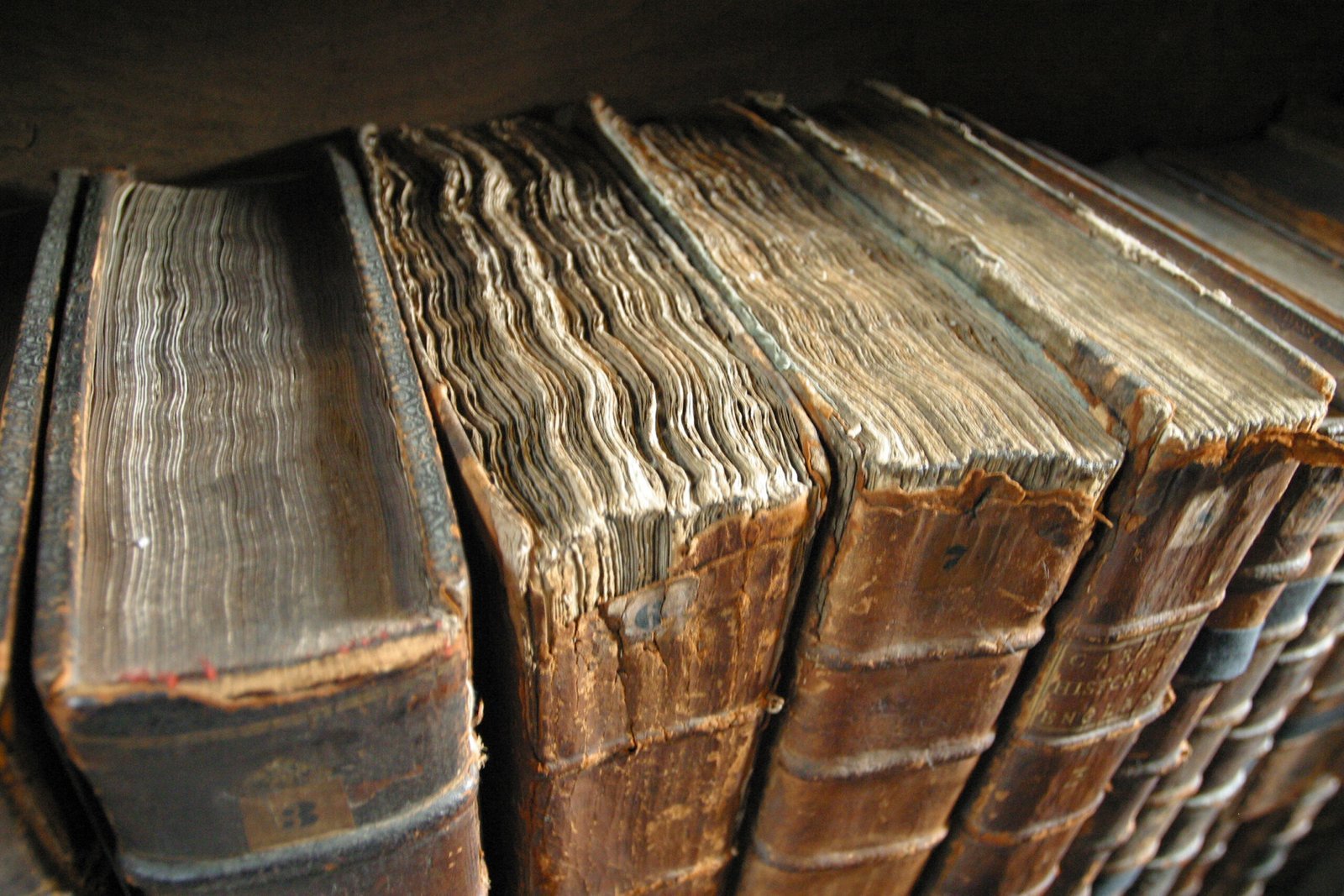 The Timeless Case for Reading the Classics (By Tom Murphy VII, CC BY-SA 3.0)