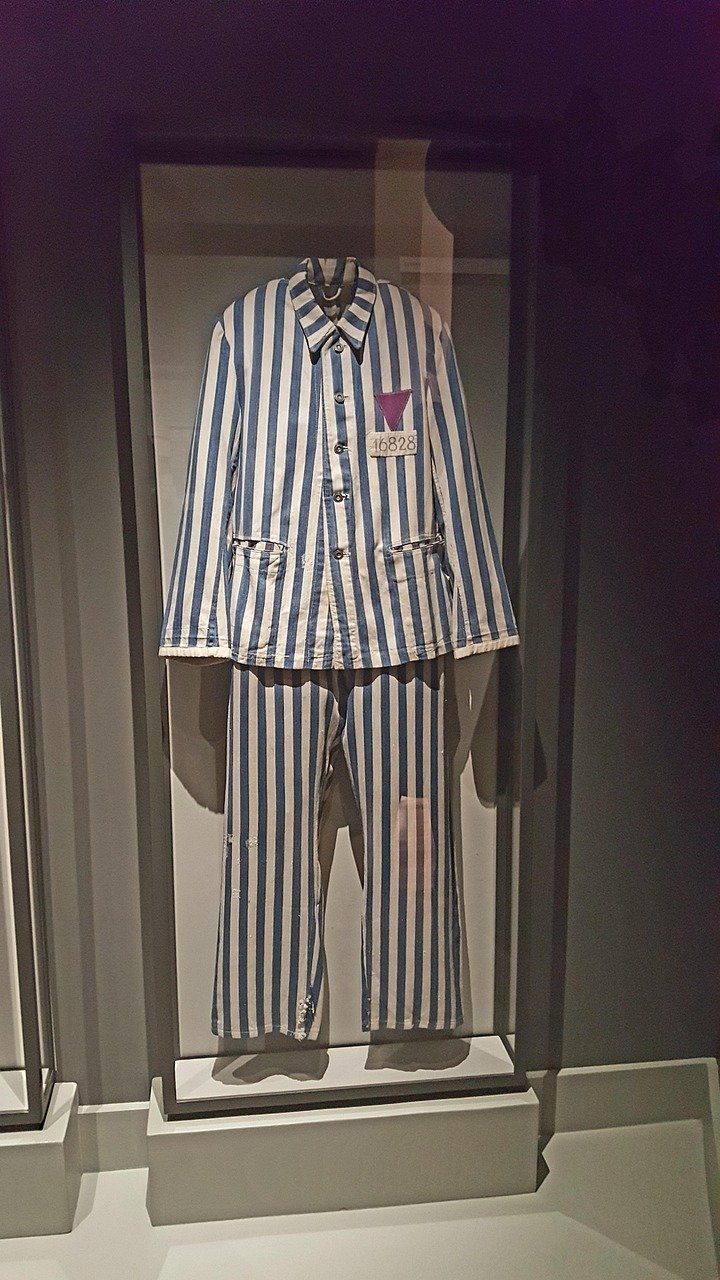 10. Misha Defonseca and the Wolf Memoir (1997) (Image Credits: Pixabay)