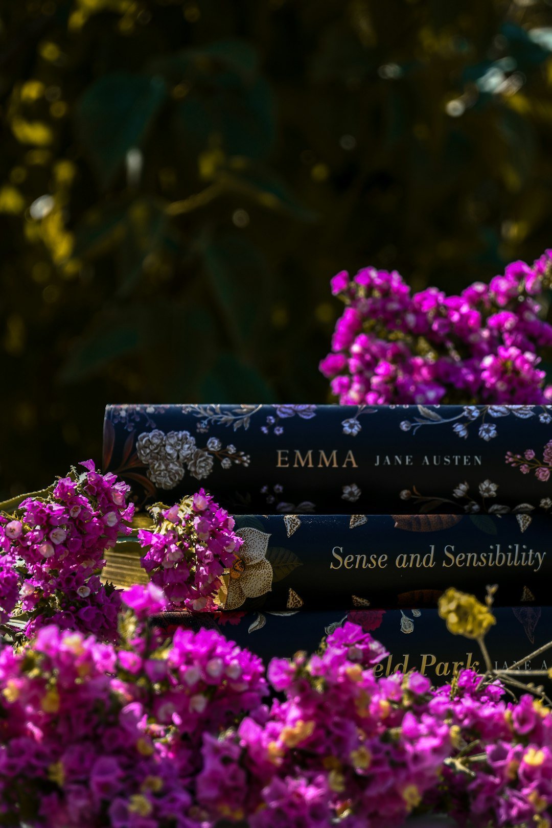 Jane Austen: The Queen of Social Observation and the Inner Life (Image Credits: Unsplash)