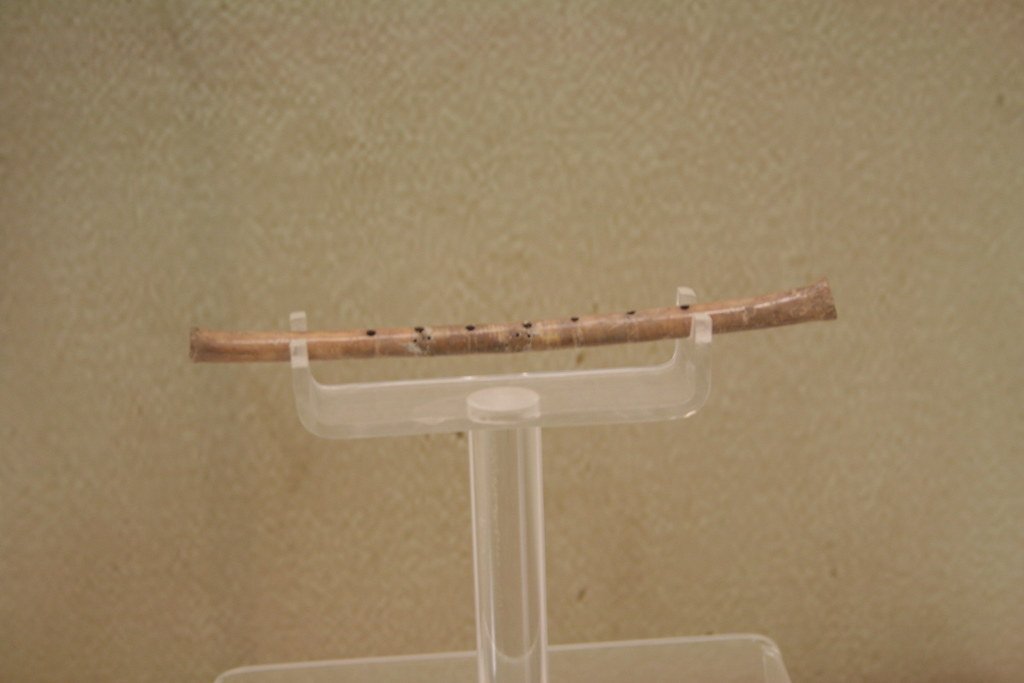 Ancient Musical Instruments: When Humans First Needed to Make Sound Beautiful (Image Credits: Flickr)